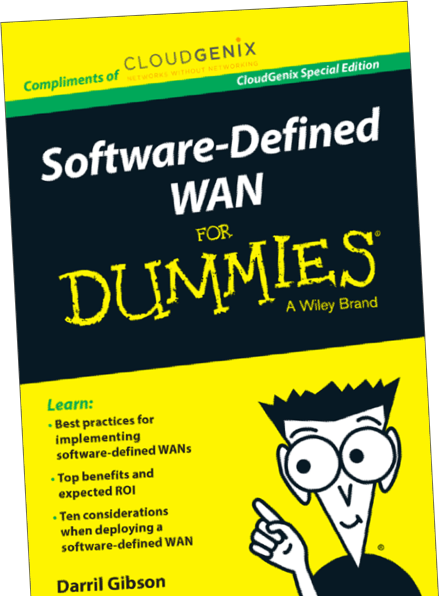 sd-wan for dummies